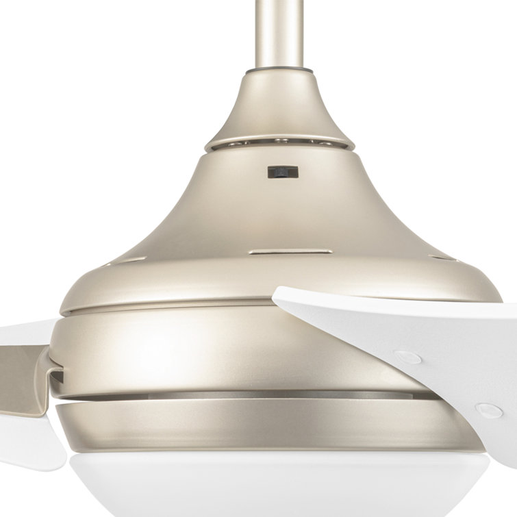 Champagne 52 Inch Modern Ceiling Fan with LED Light and Remote