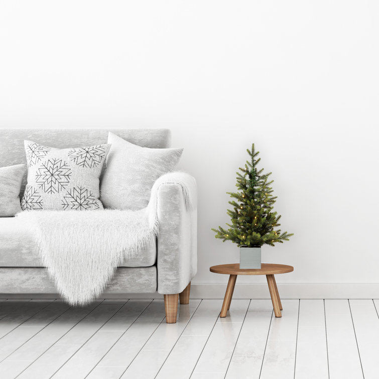 2.5' Prelit Potted Fir Christmas Tree with Warm LED Lights