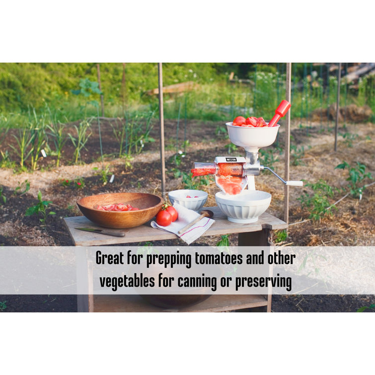 Stainless Steel Tomato Press with Food Strainer and Clamp