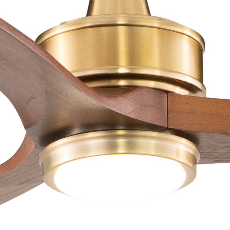 Curtiss 52'' Satin Brass and Walnut Wood Ceiling Fan with LED Light and Remote