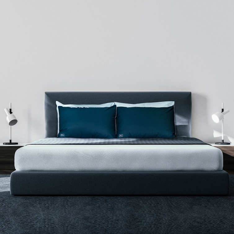 King Size Blue Hypoallergenic Down Alternative Pillow Set
