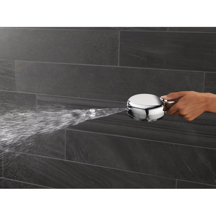 ProClean Chrome Wall-Mount Handheld Shower with Multi-Head