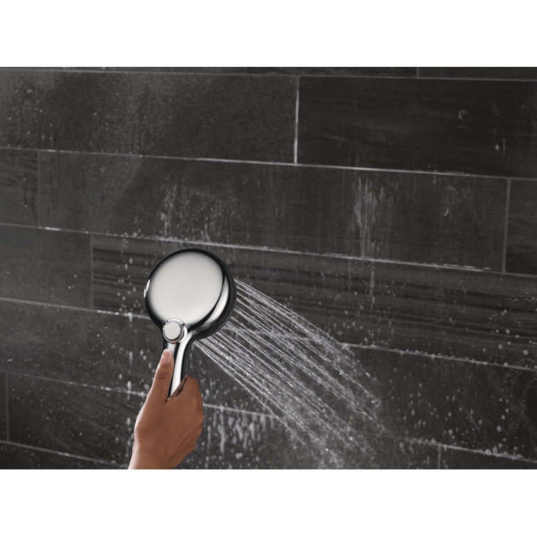 ProClean Chrome Wall-Mount Handheld Shower with Multi-Head