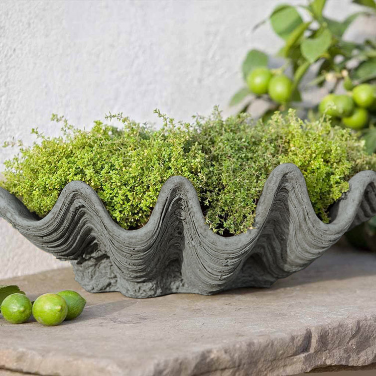 Coastal Tropical Handmade Alpine Stone Novelty Pot Planter 21.5"