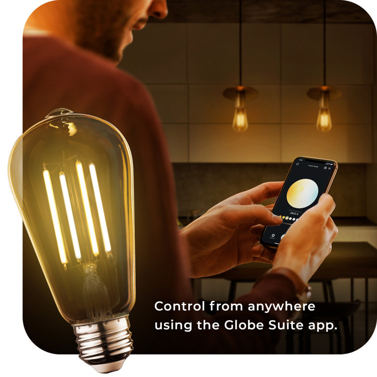Smart 60W Amber Glass Tunable White Edison LED Bulb