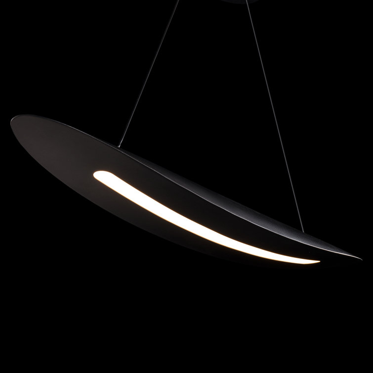 Black Glass LED Indoor/Outdoor Modern Pendant Light