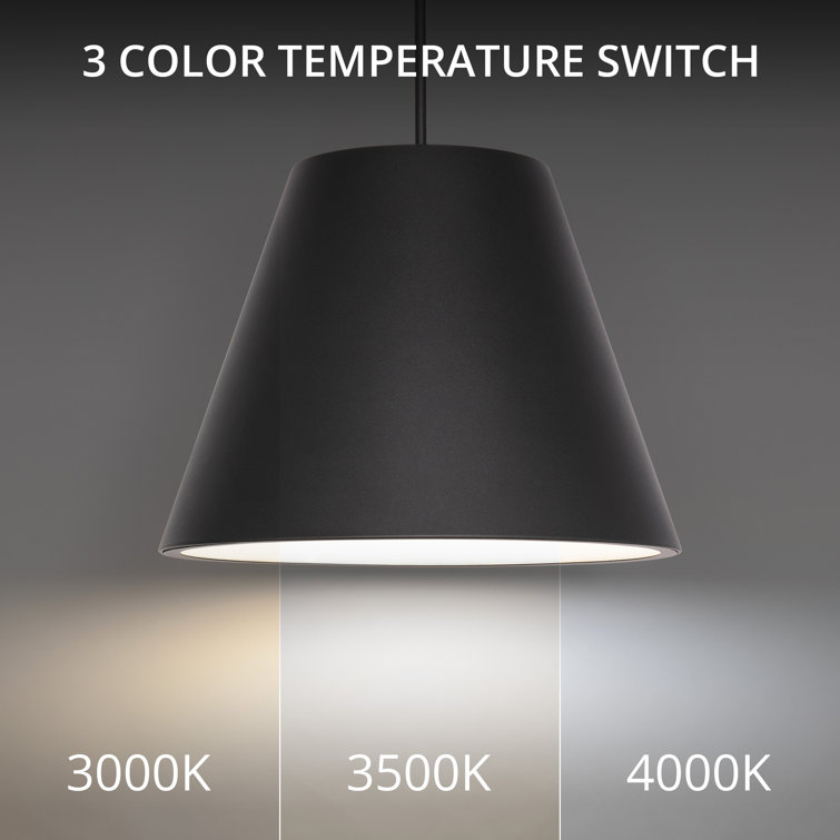Myla Black LED Indoor/Outdoor Pendant with Etched Glass Diffuser