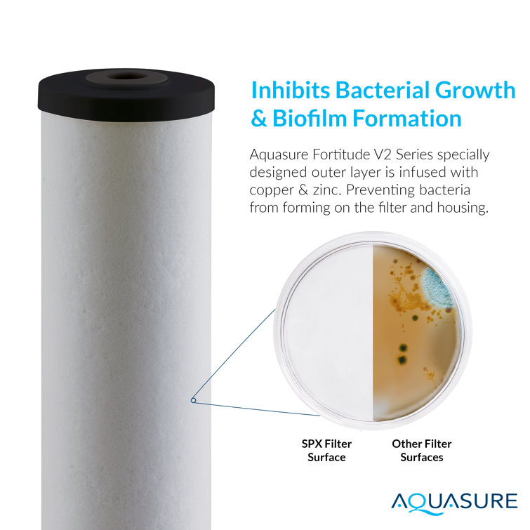 Aquasure Fortitude V2 Large Sediment Carbon Zinc Replacement Filter