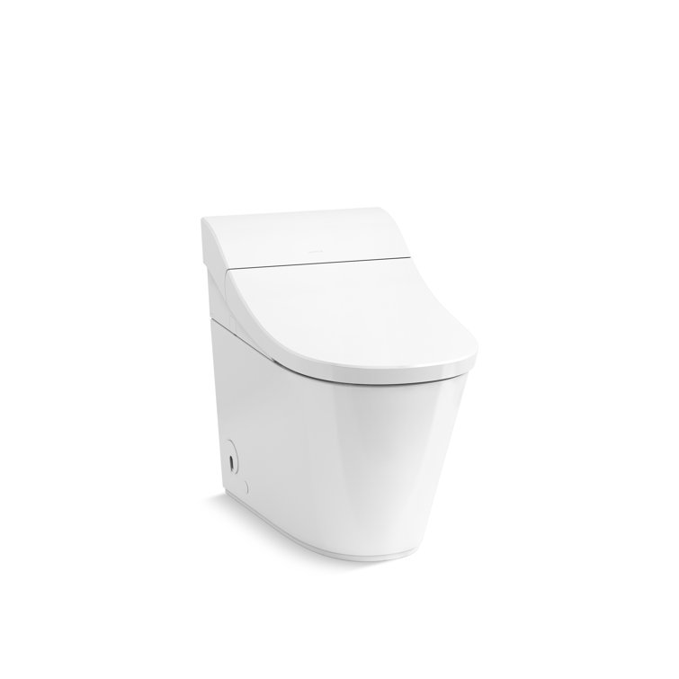 White Elongated One-Piece Smart Toilet with Dual Flush