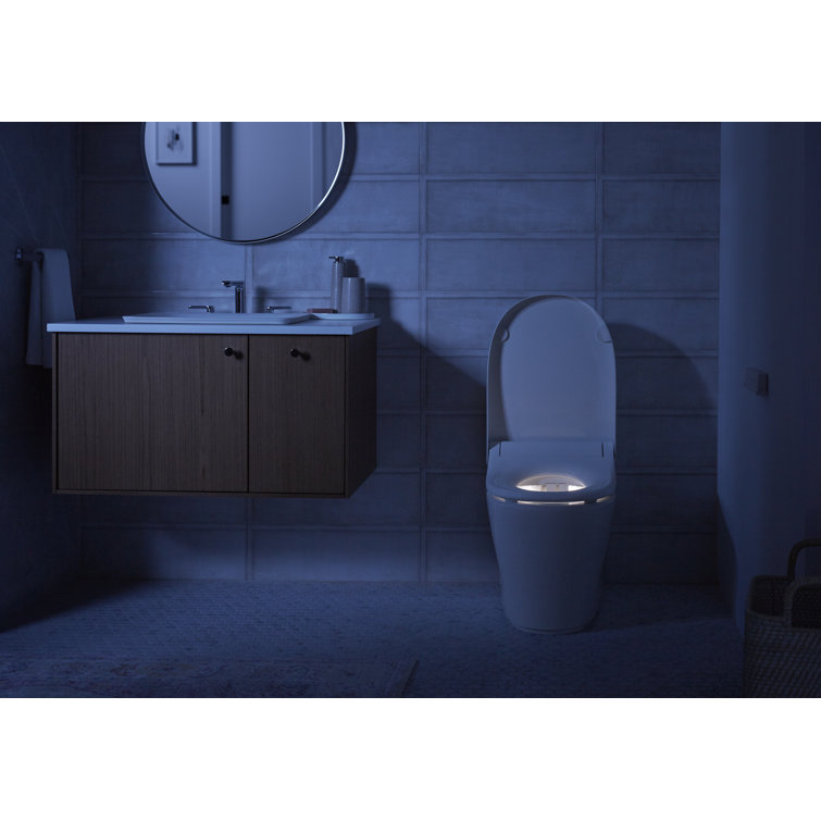White Elongated One-Piece Smart Toilet with Dual Flush