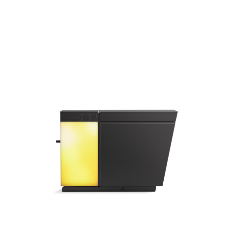 Honed Black Elongated Free Standing Dual Flush Smart Toilet