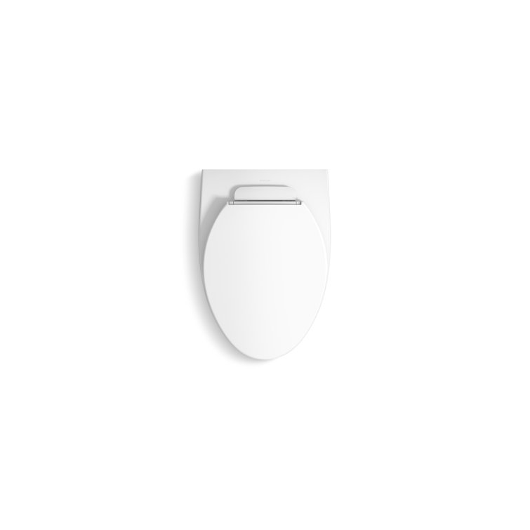 White Wall-Mounted Elongated Dual-Flush Toilet