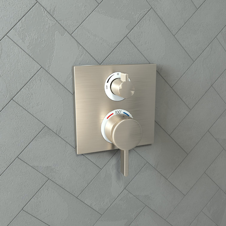 Brushed Nickel Modern Wall-Mounted Shower Trim with Lever