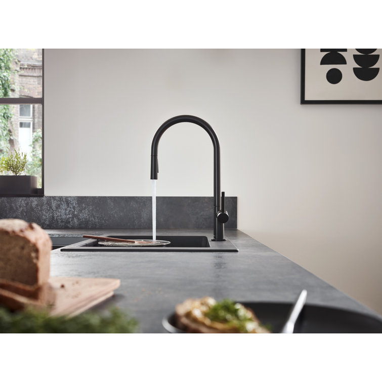Talis N HighArc 17" Steel Optik Modern Kitchen Faucet with Pull-Out Spray