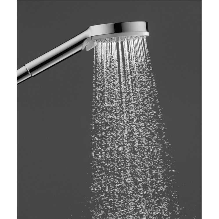 Chrome 4-Inch Handheld Rain Shower Head with Filter