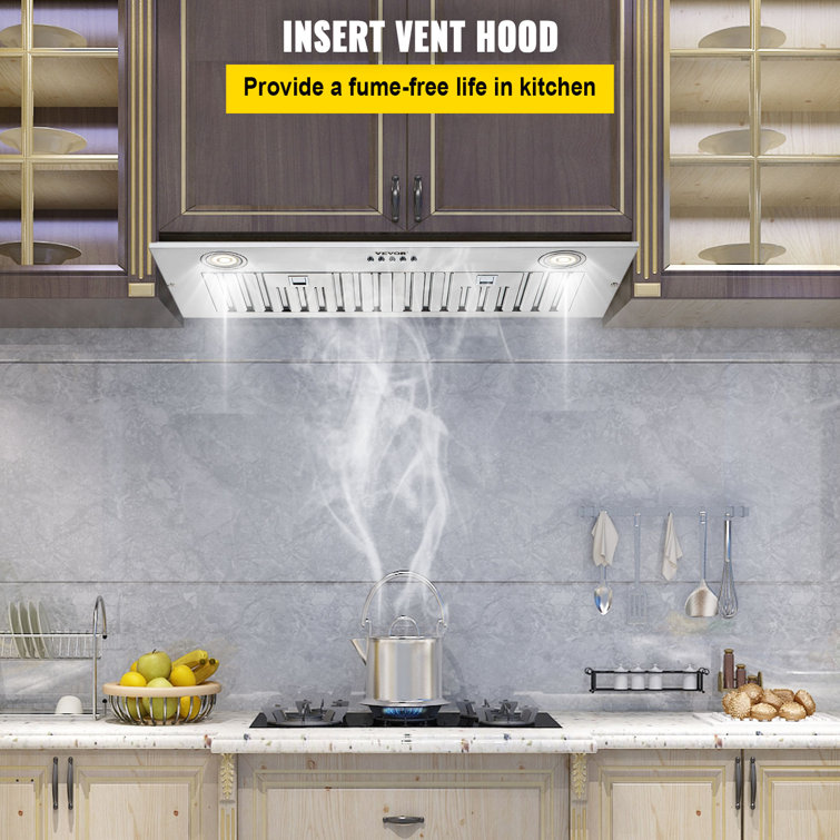 VEVOR 30-Inch Stainless Steel Convertible Insert Range Hood with Charcoal Filter