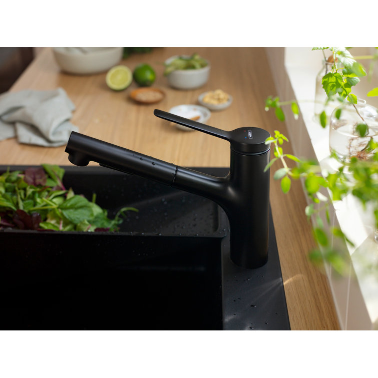 Matte Black Brass Kitchen Faucet with Pull-Out Spray