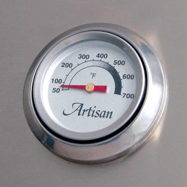 Artisan 26-Inch Stainless Steel Built-In Propane Gas Grill