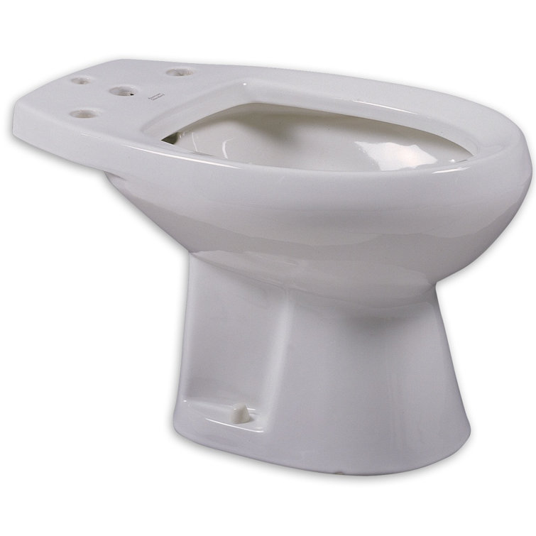 White Vitreous China Floor Mounted Bidet with Vertical Spray
