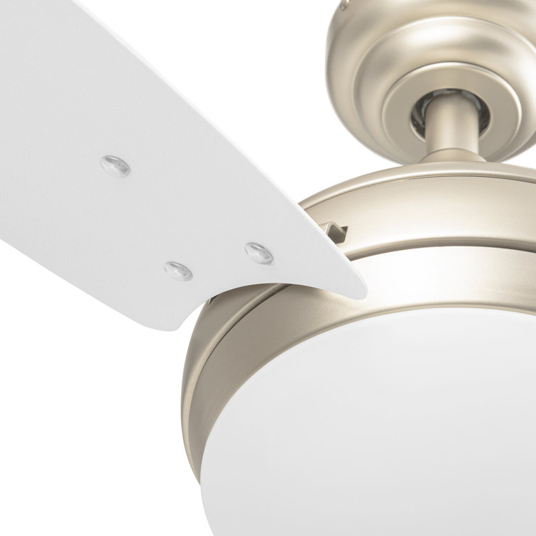 Champagne 52 Inch Modern Ceiling Fan with LED Light and Remote