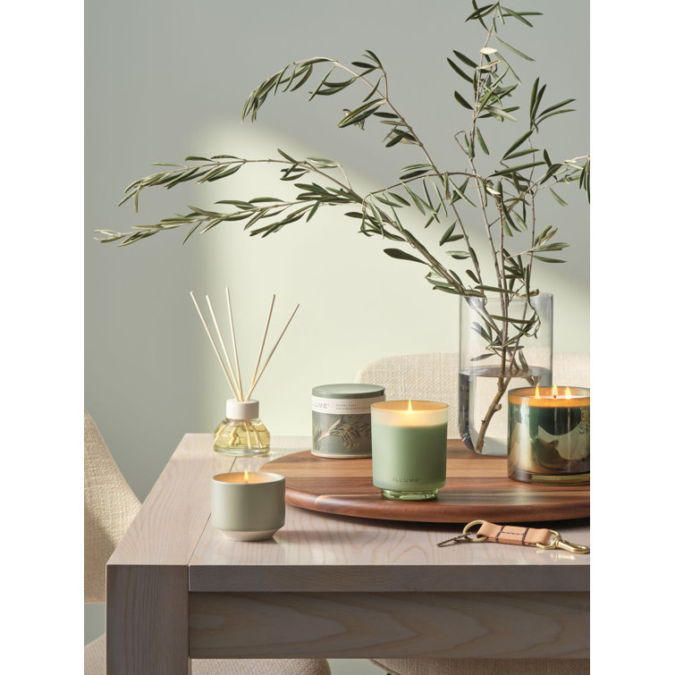 Green Hinoki Sage Scented Soy Candle in Tin