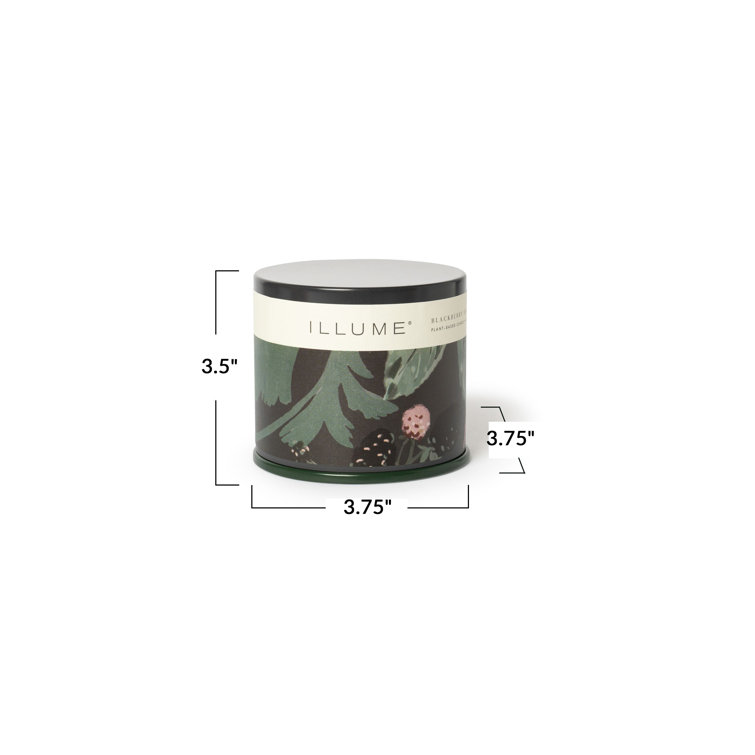 Blackberry Absinthe Soy Scented Candle in Amber Jar