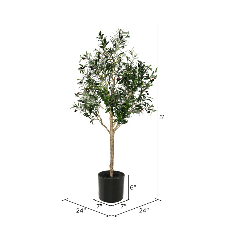 Lush Lifelike Potted Olive Tree with 56 Olives - 63" Height