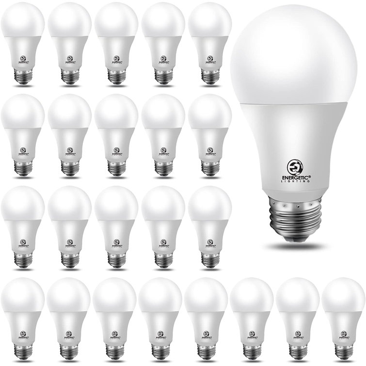 24-Pack White Daylight LED Screw-in Globe Bulbs
