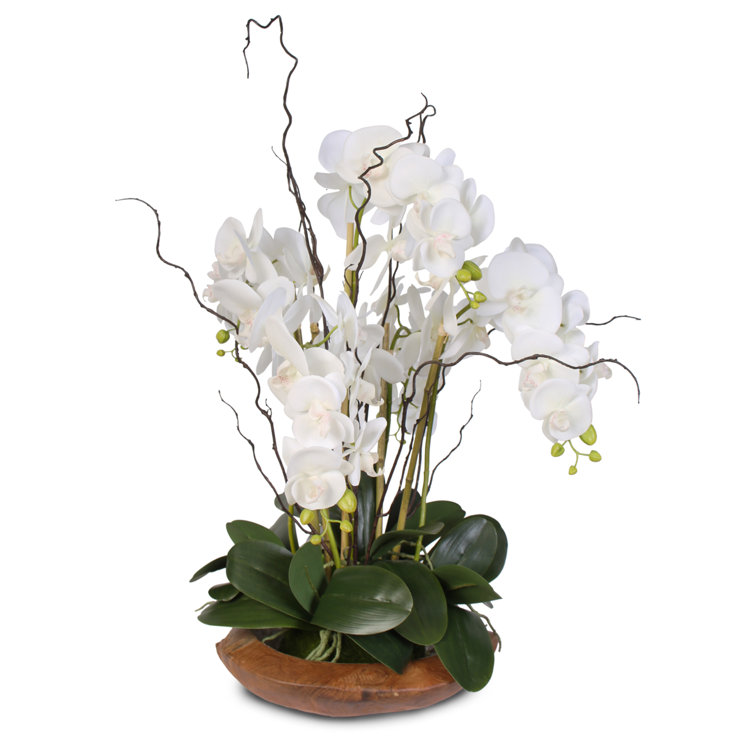 Elegant White Silk Orchid Arrangement in Natural Teak Bowl