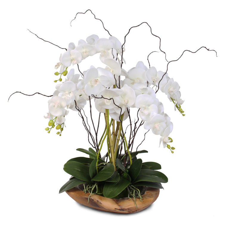 Elegant White Silk Orchid Arrangement in Natural Teak Bowl