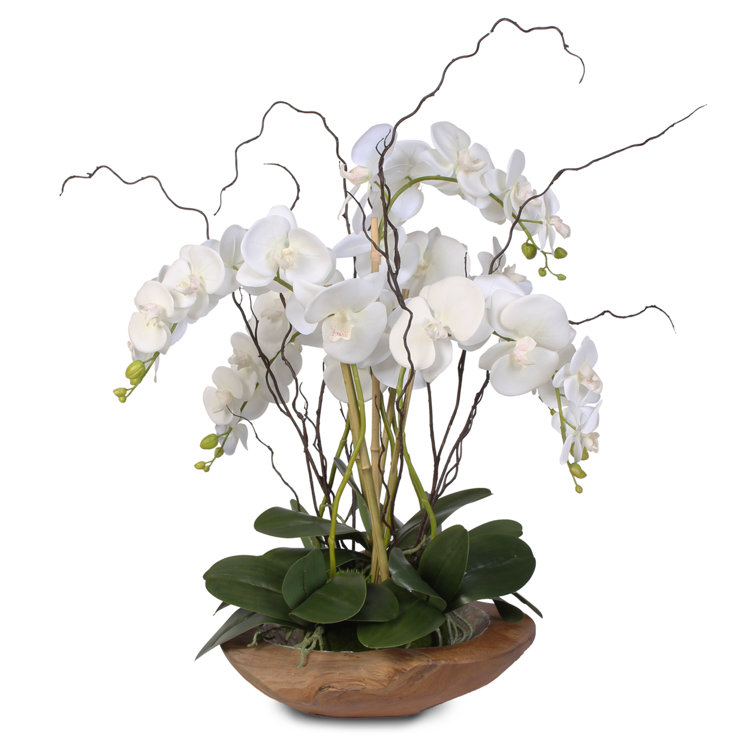 Elegant White Silk Orchid Arrangement in Natural Teak Bowl