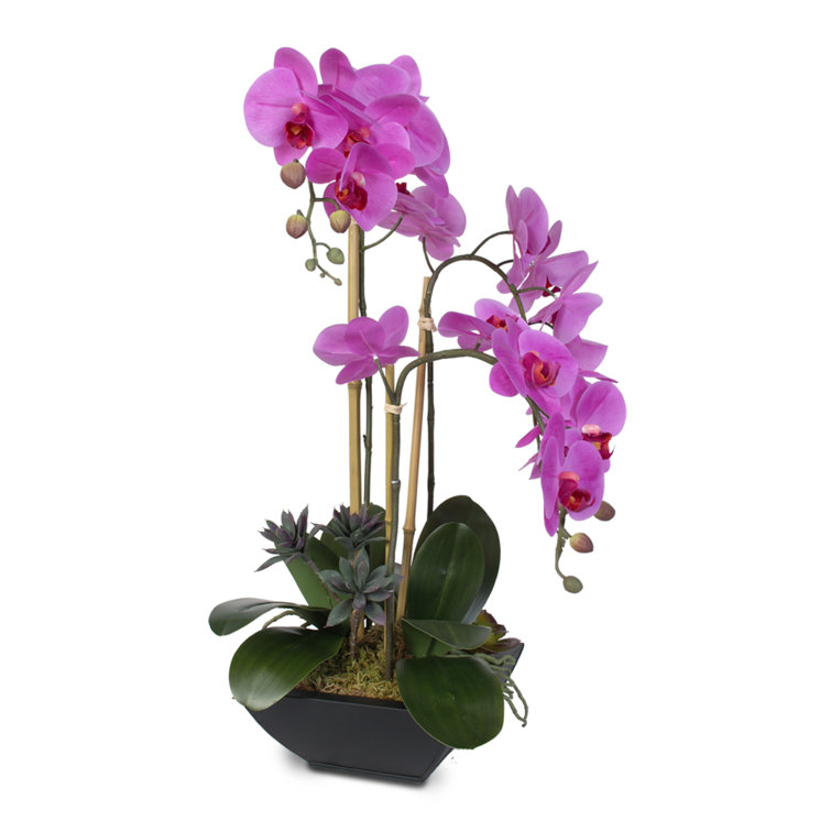 Vivid Purple Silk Orchid Arrangement with Succulents in Black Pot