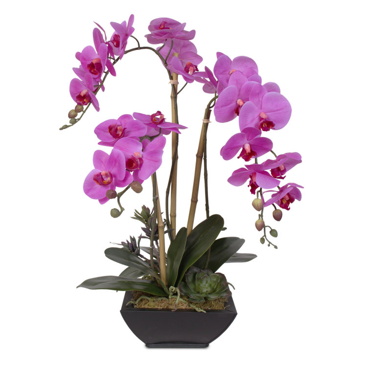Vivid Purple Silk Orchid Arrangement with Succulents in Black Pot