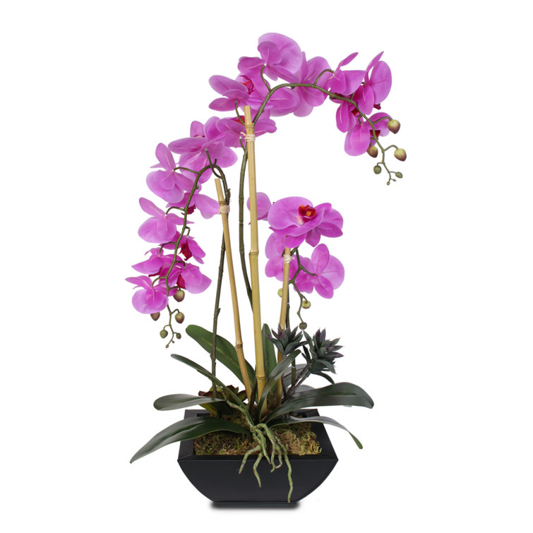 Vivid Purple Silk Orchid Arrangement with Succulents in Black Pot