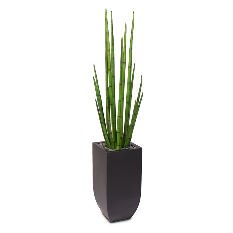 Tall Green Silk Snake Grass in Black Metal Planter
