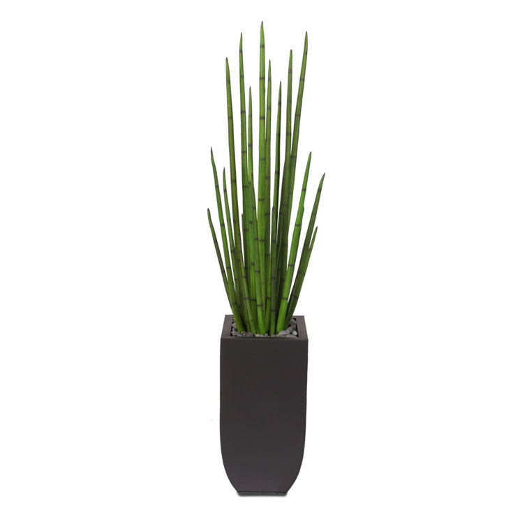 Tall Green Silk Snake Grass in Black Metal Planter