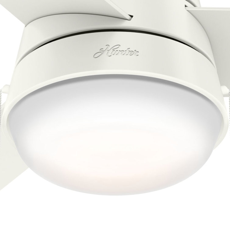 36" White MDF Ceiling Fan with LED Light and Remote