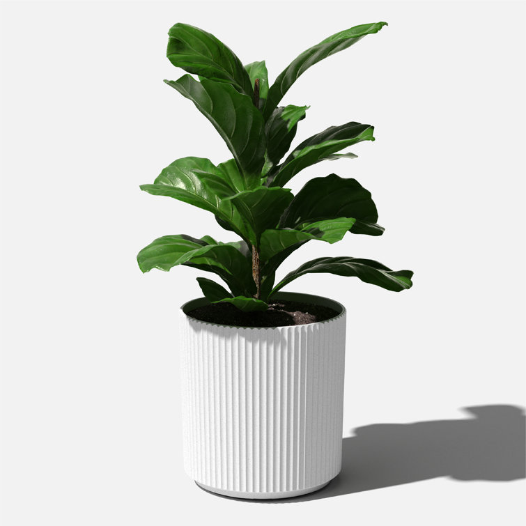 Roman-Inspired Demi 20" White Fluted Planter for Indoor/Outdoor Use
