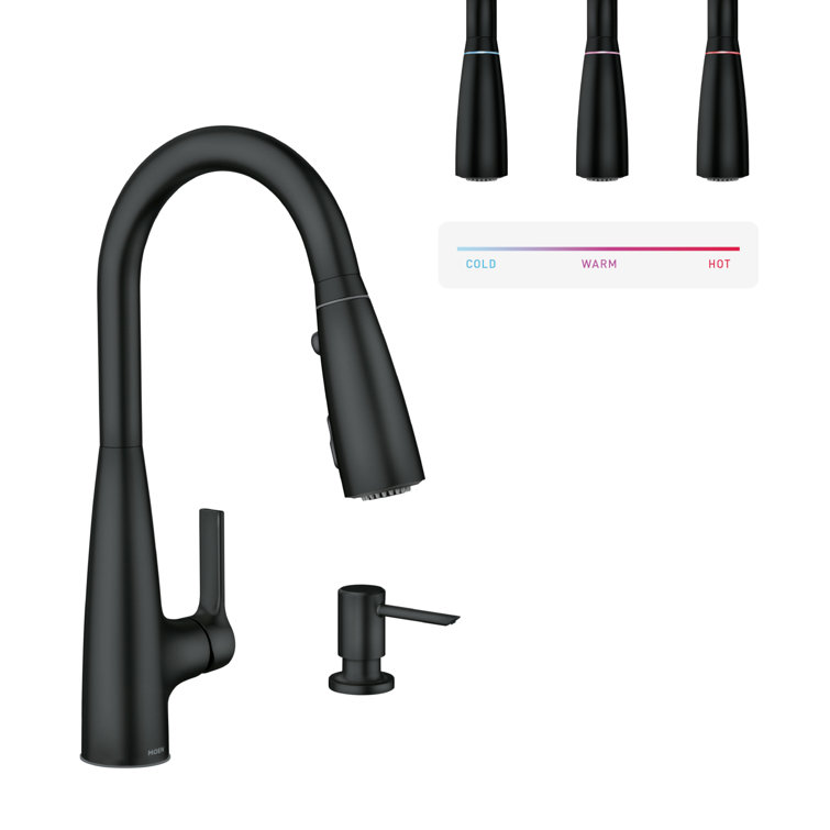 Matte Black Pull-Down Kitchen Faucet with Pull-out Spray