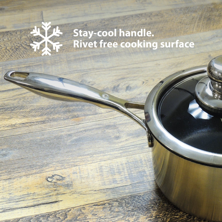 Prestige 6.2 qt Stainless Steel Non-Stick Dutch Oven with Glass Lid