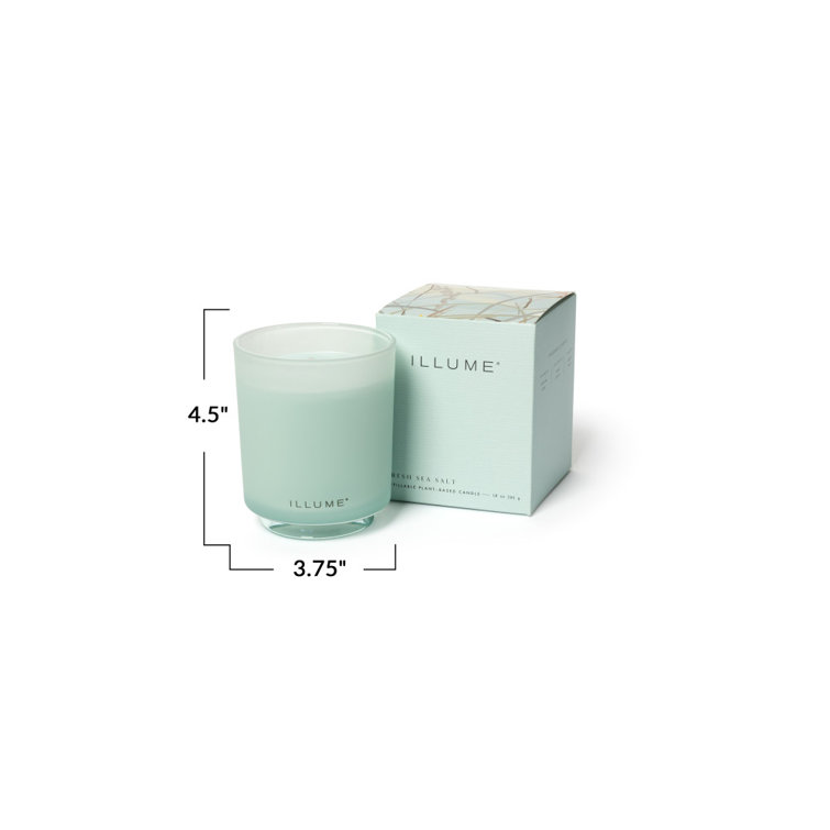 Fresh Sea Salt Scented Soy Candle in Frosted Glass