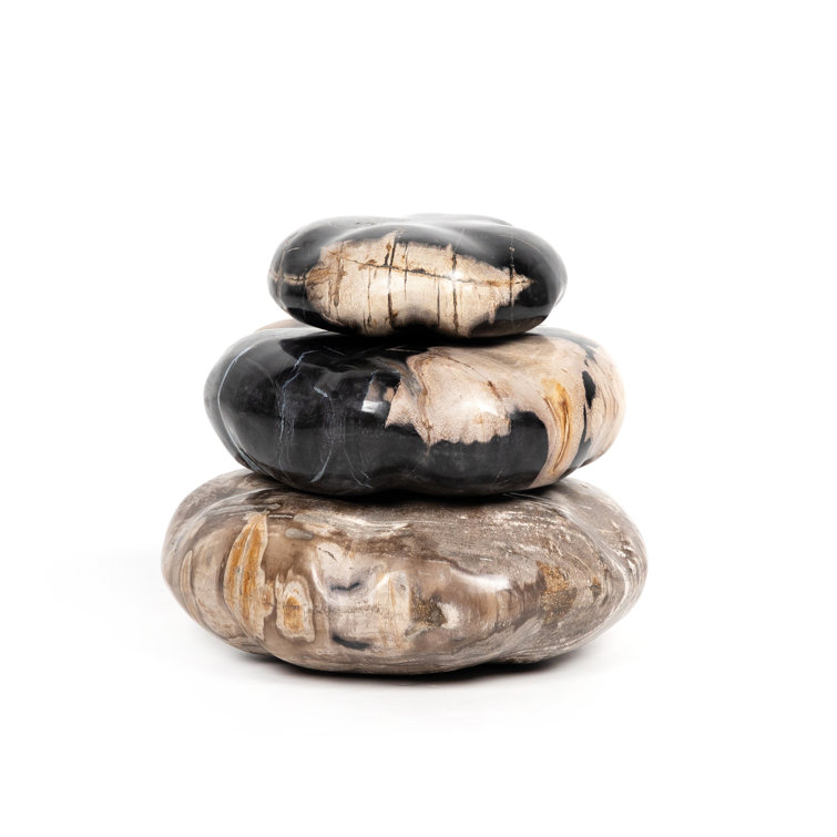 Elevated Balance Black Petrified Wood 8.75" Sculpture Set
