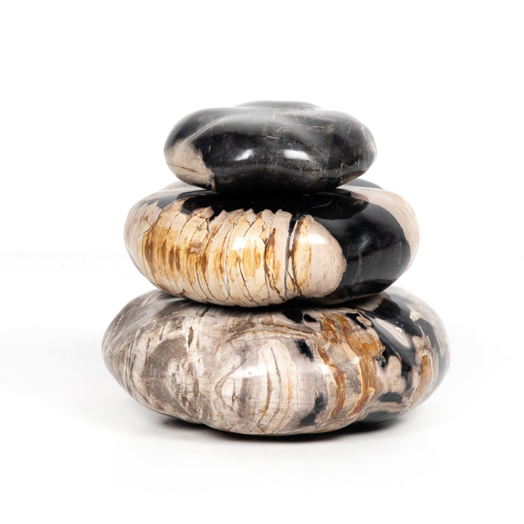 Elevated Balance Black Petrified Wood 8.75" Sculpture Set