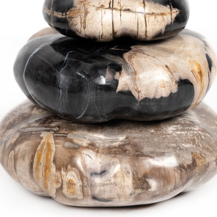 Elevated Balance Black Petrified Wood 8.75" Sculpture Set