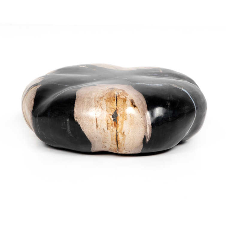 Elevated Balance Black Petrified Wood 8.75" Sculpture Set
