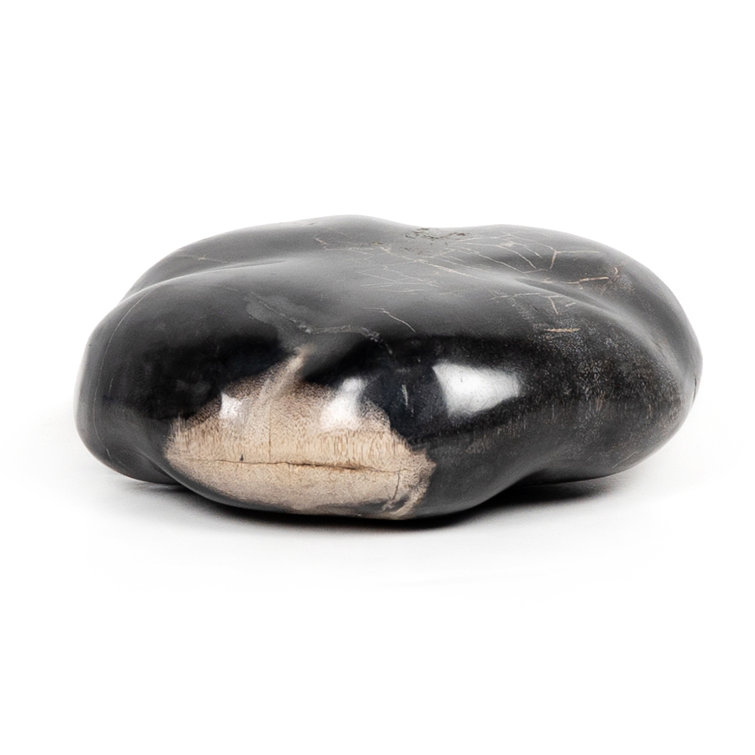 Elevated Balance Black Petrified Wood 8.75" Sculpture Set