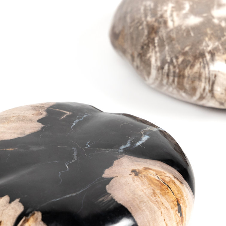 Elevated Balance Black Petrified Wood 8.75" Sculpture Set