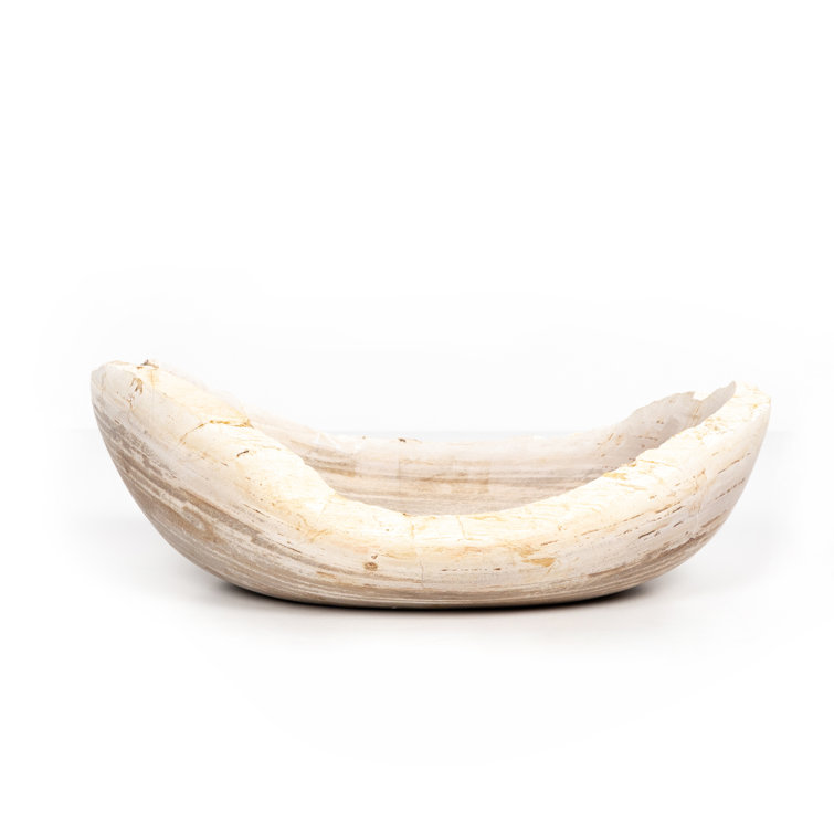 Eco-Chic Petrified Wood Decorative Bowl in Light Finish