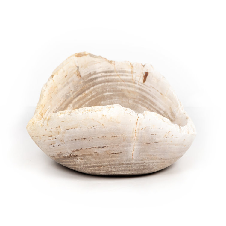 Eco-Chic Petrified Wood Decorative Bowl in Light Finish