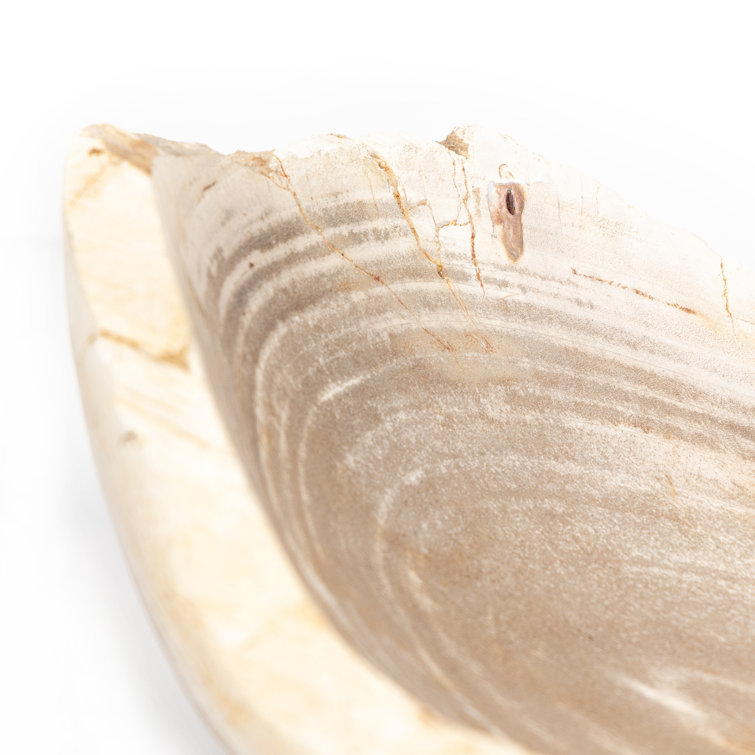 Eco-Chic Petrified Wood Decorative Bowl in Light Finish